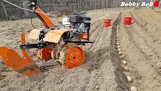 Potato diggers with 3-speed front hoe / land preparation for potatoes
