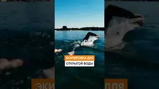 Экипировка для плавания на открытой воде