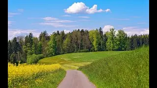 Продолжение романа глава 7 приключения Тома Сойера