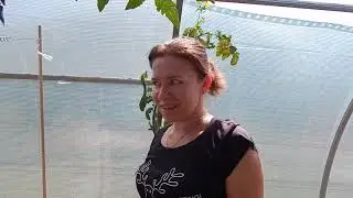 #Анапа
