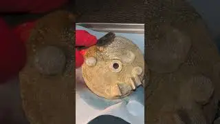 Восстановление барабанов