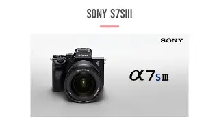 Sony A7S III Review | Specs Details Pros & Cons | Unleashing the Power of Low Light | Tech Talk | 4k