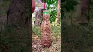 Incredible Soap Firestarter for Survival Situations🔥 #camping #survival #bushcraft #lifehack