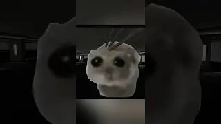 Sad Hamster █ GMOD