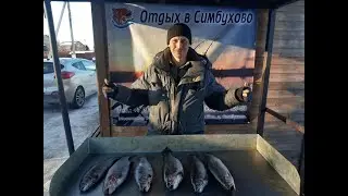 Рыбалка на форель в Симбухово.