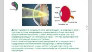 Системная коррекция органов зрения. Лечение без лекарств.
