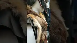 доспехи воина