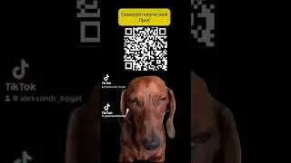 Спаси себя 