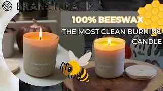 Branch Basics Pure Beeswax Candle | Wax That Actually CLEANS The Air!