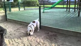 29092010005.MP4
