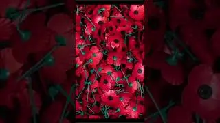 Remembrance Day 2023