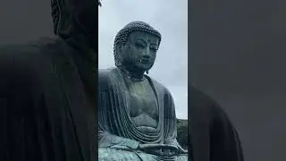 A Year in Japan in 6 Shorts 5/6