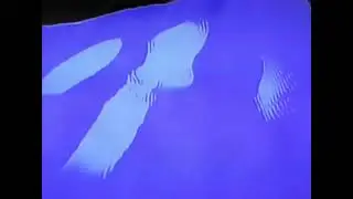 Evan Wright - Turn The Other Way (Official Video)