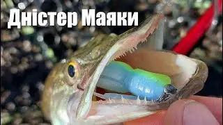 Ловля великих ОКУНІВ та злих ЩУК. Риболовля на каналах річки Дністер