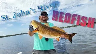 ST JOHNS RIVER REDFISH