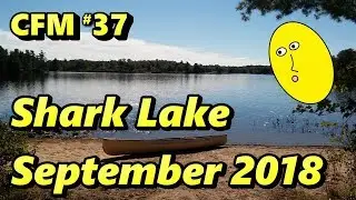 CFM #37 Shark Lake September 2018