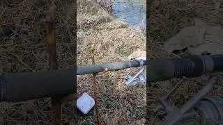 balıkta gelen sevimli Fare#fishing#floatfishing #balık #kefal #sazanbalığı