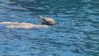 The Thorsells floating in Chalki, Greece