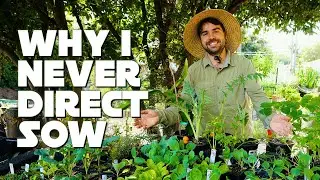 I Transplant *Almost* All Of My Seedlings...Here's Why