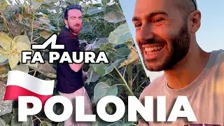 Salsicce Pierogi e Polonia