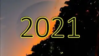 2021 - Lolly Pops