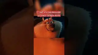 Стая! эта маленькая штучка теперь волк 