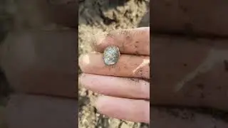Приятная находка. Серебро. ЧЕШУЯ!!!