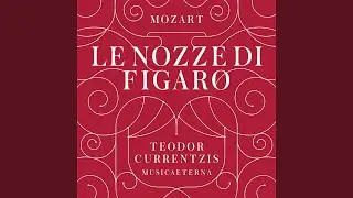Le nozze di Figaro, K. 492: Atto Secondo: Voi signor, che giusto siete ... Son confusa, son...