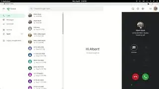 Google Voice troubleshooting steps