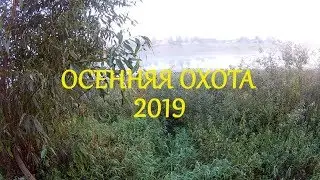 Осенняя охота 2019