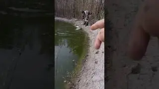 Pulling the net in our own pond. Fishing. 