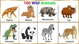 100 Wild Animals | Animals Vocabulary In English | Learn Animals Name In English With Pictures