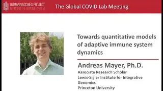 Dr. Andreas Mayer: Towards Quantitative Models of Adaptive Immune System Dynamics