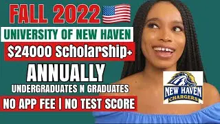 College Review: $100000+ Scholarships at the University of New Haven,Full Funding for UnderGRADUATEs