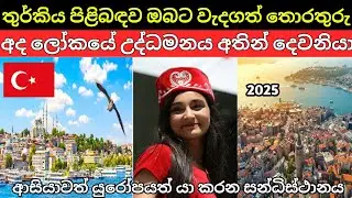 Turkey Country Sinhala | 