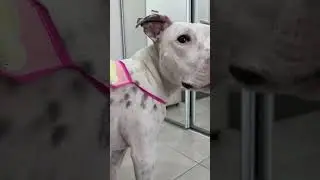 Смотрю на неё и восхищаюсь ❤️ 