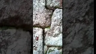 Тетрис в стенах акрополя!