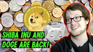Shiba Inu and Dogecoin Barks Back