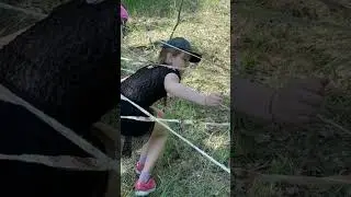 9 июня 2023 г.