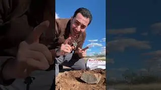 Burying an Emerald in the Desert * PRIZE FOUND *