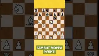 Гамбит Морра рулит или ловушка высшей категории