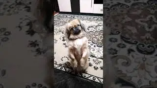 Ждать неделю, не меньше!!!