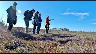 A Journey into the Wildlife of the Polistovsky Swamp