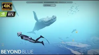 🐬BEYOUD BLUE 4K BEST QUALITY ON PC WITH RTX ON ✨| Beyound Blue 4K BEST QUALITY