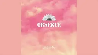 Observe - LUCIANA