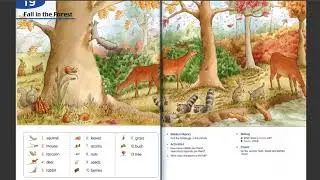 Longman Children Pictures Dictionary 19 Fall in the Forest