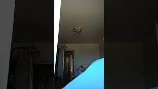 типы школы