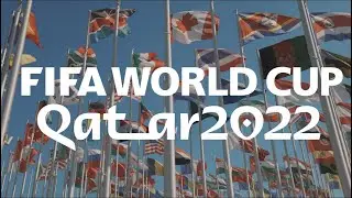 Así se vive el MUNDIAL | Qatar #4 Alan por el mundo