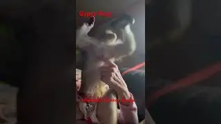 #GypsySue