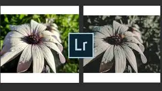 Preset oscuro para LIGHTROOM.